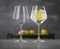   (2 ) SPIEGELAU GIN & TONIC 225 MM 640 ML
