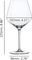   (2 ) SPIEGELAU GIN & TONIC 225 MM 640 ML