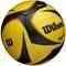 ����� WILSON AVP ARX OFF VOLLEY GAME BALL DEF ������� (5)