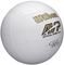  WILSON CAST AWAY VOLLEYBALL / (5)