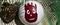  WILSON CAST AWAY VOLLEYBALL / (5)