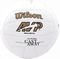  WILSON CAST AWAY MINI VOLLEYBALL / (1)