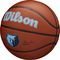  WILSON NBA TEAM ALLIANCE MEMPHIS GRIZZLIES  (7)