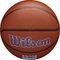  WILSON NBA TEAM ALLIANCE SACRAMENTO KINGS  (7)