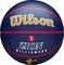  WILSON NBA PLAYER ICON OUTDOOR BASKETBA...