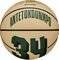  WILSON NBA PLAYER ICON MINI BASKETBALL ...