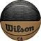  WILSON 2023 NBA TEAM CITY COLLECTOR  TORONTO RAPTORS / (7)