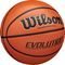 WILSON EVOLUTION GAME BASKETBALL  (6)