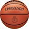  WILSON EVOLUTION GAME BASKETBALL  (6)