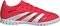  ADIDAS PERFORMANCE PREDATOR CLUB TUR...