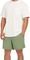   O\'NEILL VERT 16\'\' SWIMSHORTS  (S)