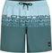   O'NEILL CALI STRIPE 16'' SWIMSHOR...