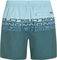   O\'NEILL CALI STRIPE 16\'\' SWIMSHORTS / (S)