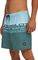   O\'NEILL CALI STRIPE 16\'\' SWIMSHORTS / (S)