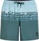   O\'NEILL CALI STRIPE 16\'\' SWIMSHORTS / (L)