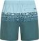   O\'NEILL CALI STRIPE 16\'\' SWIMSHORTS / (L)