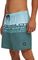   O\'NEILL CALI STRIPE 16\'\' SWIMSHORTS / (L)