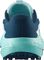  SALOMON ALPHAGLIDE   (UK:7, EU:40 2/3)