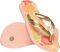  HAVAIANAS KIDS FLORES / (27-28)