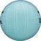  BEACH VOLLEY WILSON AVP SOFT PLAY  (5)