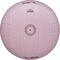  BEACH VOLLEY WILSON AVP SOFT PLAY  (5)