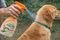 ΑΝΤΙΠΑΡΑΣΙΤΙΚΟ SPRAY ΣΚΥΛΟΥ TROPICLEAN (473ML) ΑΝΤΙΠΑΡΑΣΙΤΙΚΟ SPRAY ΣΚΥΛΟΥ TROPICLEAN (473ML)