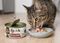 ΥΓΡΗ ΤΡΟΦΗ ΓΙΑ ΓΑΤΕΣ FISI PURE MEAT CAT ADULT ΚΟΚΚΙΝΟΨΑΡΟ & ΓΑΡΙΔΕΣ (10ΤΜΧ X170GR) ΥΓΡΗ ΤΡΟΦΗ ΓΙΑ ΓΑΤΕΣ FISI PURE MEAT CAT ADULT ΚΟΚΚΙΝΟΨΑΡΟ & ΓΑΡΙΔΕΣ (10ΤΜΧ X170GR)