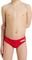 ����� ARENA TEAM SWIM SOLID BRIEFS ������� (6...