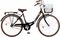 �������� ORIENT CITY CLASSIC 26
