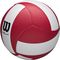 ����� WILSON HELIX VOLLEY GAME BALL �������/����� (5)