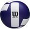 ����� WILSON HELIX VOLLEY BALL GAME BALL ����...