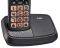   DECT         FX-5500