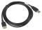 LANBERG CABLE USB 2.0 TYPE-C(M)-AM BLACK 1.8M