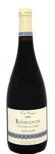  BOURGOGNE CLOS DE LA COMBE PINOT NOIR 2006  750 ML