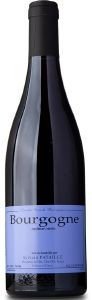 ΚΡΑΣΙ BOURGOGNE SYLVAIN PATAILLE 2019 ΕΡΥΘΡΟ 750ML ΚΡΑΣΙ BOURGOGNE SYLVAIN PATAILLE 2019 ΕΡΥΘΡΟ 750ML