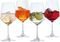  4   APERITIVO SPIEGELAU SUMMER DRINKS 225 MM - 630 ML
