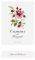  PALACIOS ALVARO CAMINS DEL PRIORAT 2016  750ML