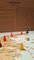      ENOTRIA BOARD GAME
