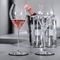   SPIEGELAU SPECIAL SPUMANTE GLASS 2 