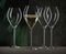   SPIEGELAU SPECIAL SPUMANTE GLASS 2 