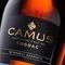  CAMUS VSOP 700 ML