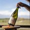 ΚΡΑΣΙ GRAN LURTON BLANCO PIEDRA NEGRA 2021 ΛΕΥΚΟ 750 ML ΚΡΑΣΙ GRAN LURTON BLANCO PIEDRA NEGRA 2021 ΛΕΥΚΟ 750 ML