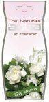  AQUA GARDENIA NATURAL FLOWER 00-010...