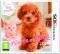 NINTENDOGS & CATS: TOY POODLE