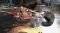 INJUSTICE: GOD AMONG US ULTIMATE EDITION - PS3