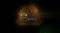 TERRARIA - PS4