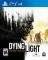 DYING LIGHT GOOD NIGHT GOOD LUCK - PS4