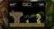 NSW CURSED CASTILLA COLLECTORS EDITION