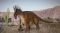 XBOX1 / XSX JURASSIC WORLD EVOLUTION 2