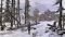 NSW SYBERIA I + SYBERIA II